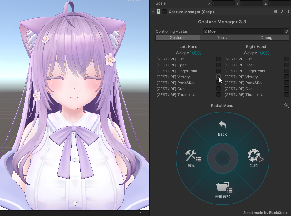 在 Gesture Manager 中预览